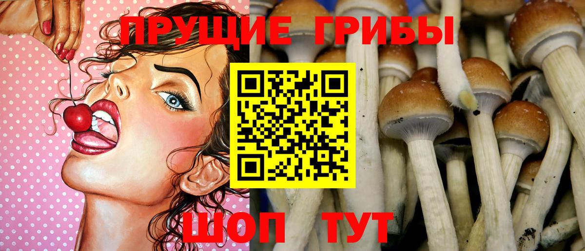 Шебекино  наркошоп  Вход с VPN  Псилоцибиновые грибы GOLDEN TEACHER 