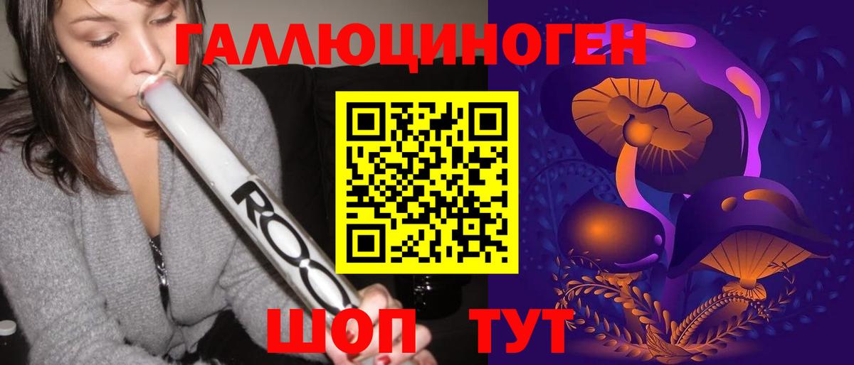 Псилоцибиновые грибы Psilocybine cubensis Шебекино