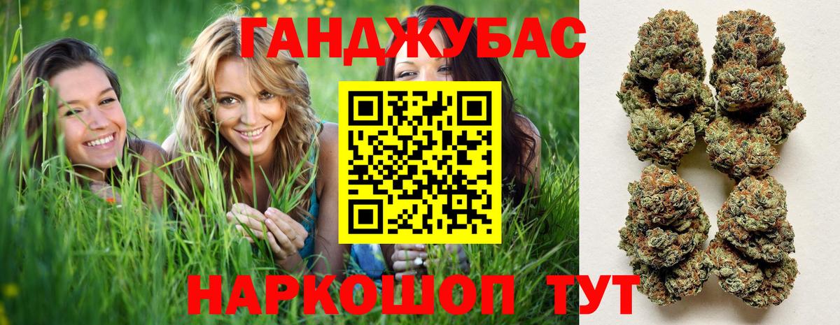 Бошки марихуана сатива Шебекино